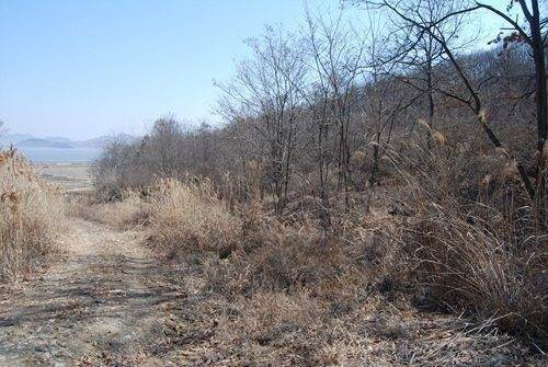 �Ź� �̹���