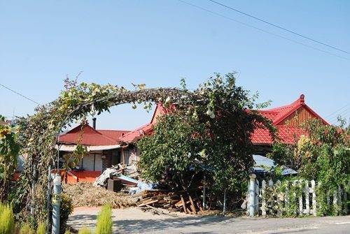 �Ź� �̹���