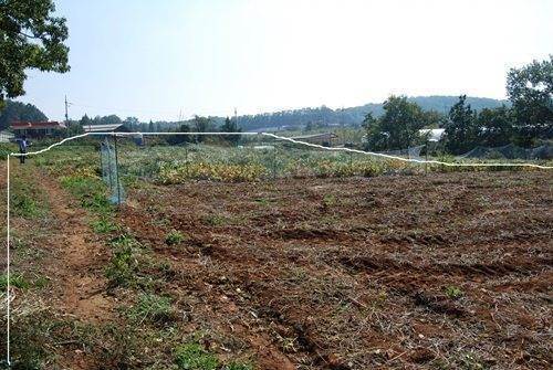 �Ź� �̹���