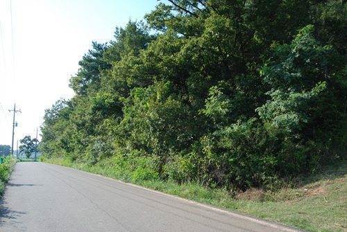 �Ź� �̹���