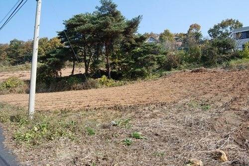 �Ź� �̹���