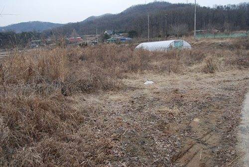 �Ź� �̹���