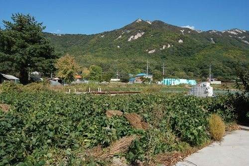 �Ź� �̹���