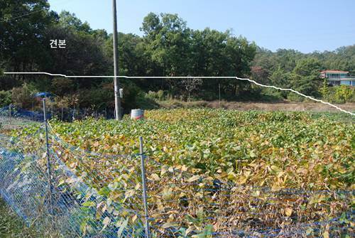 �Ź� �̹���