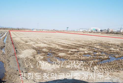 �Ź� �̹���