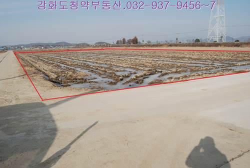 �Ź� �̹���