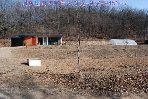 �Ź� �̹���