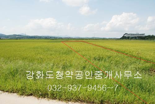 �Ź� �̹���