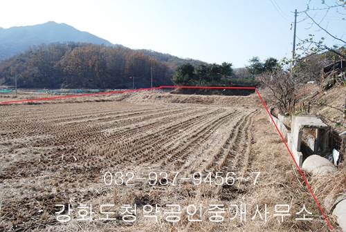 �Ź� �̹���