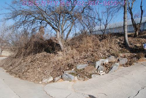 �Ź� �̹���