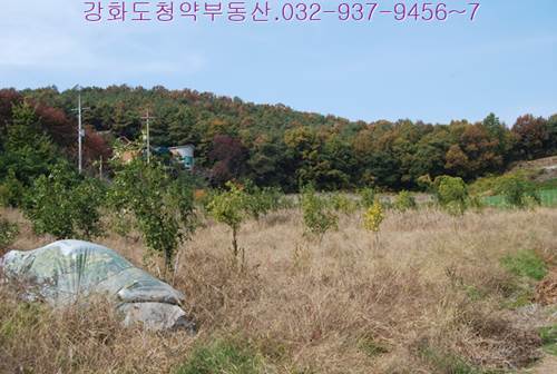 �Ź� �̹���