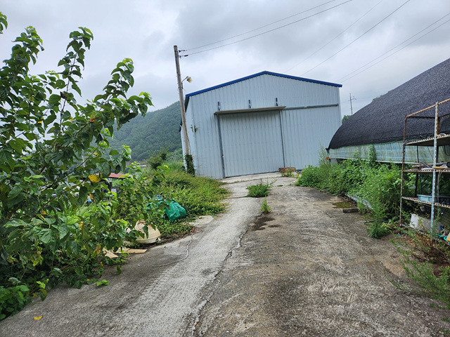 �Ź� �̹���