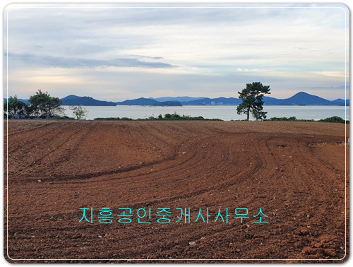 �Ź� �̹���