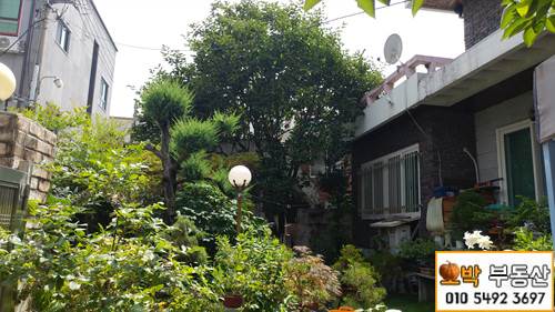 �Ź� �̹���