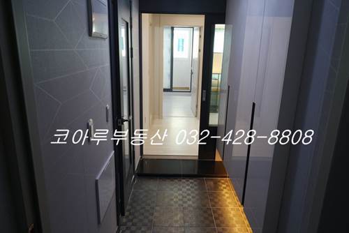 �Ź� �̹���