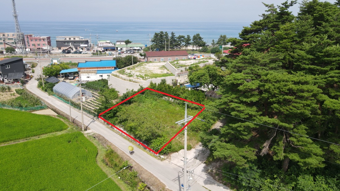 �Ź� �̹���