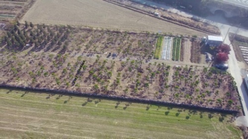 �Ź� �̹���