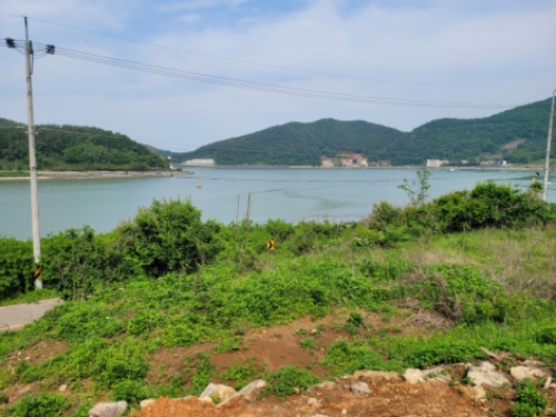 �Ź� �̹���