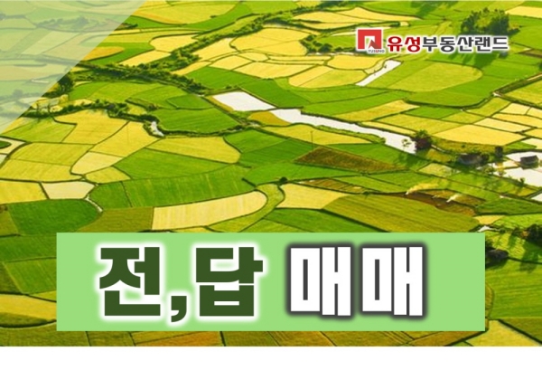 �Ź� �̹���