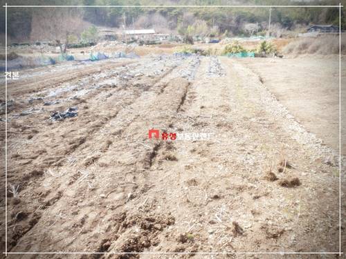 �Ź� �̹���